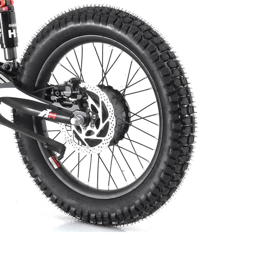 New Revvi 18 inch Rear wheel Future Riders