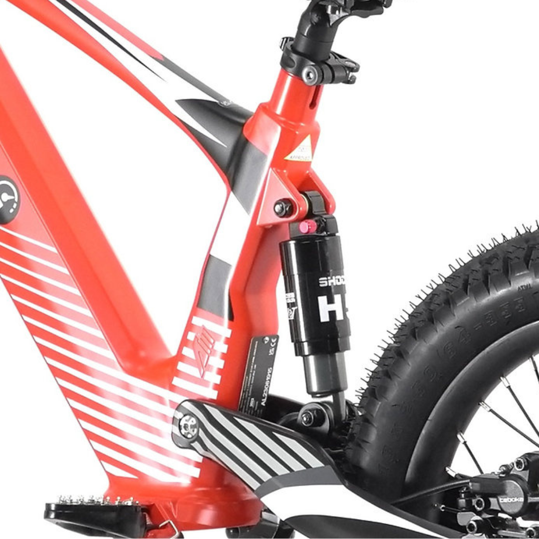 New Revvi 18 inch frame and rear shock Future Riders